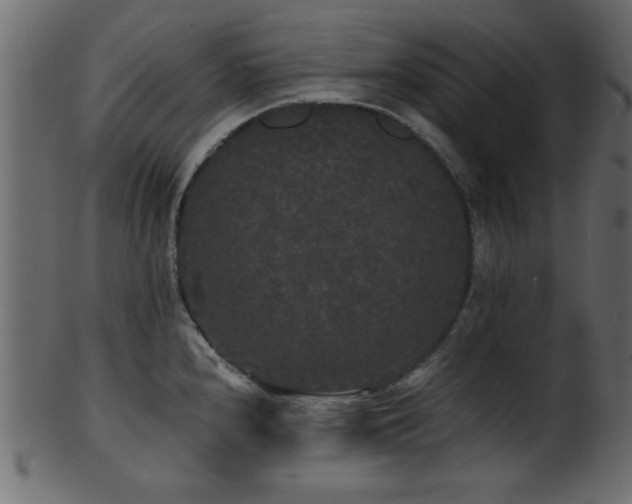 X0000101951240200807181443