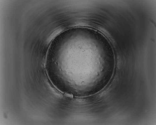 X0000101951241200807181443