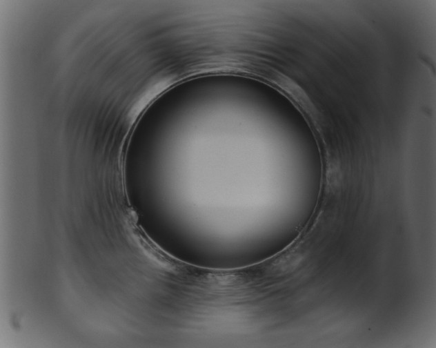 X0000101951242200807181443