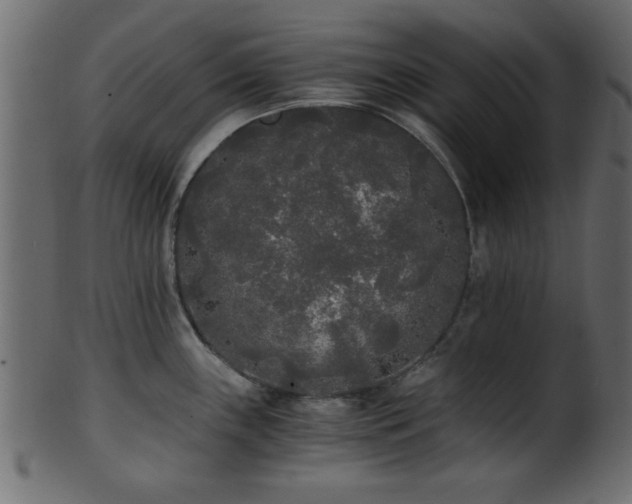 X0000101951243200807181443