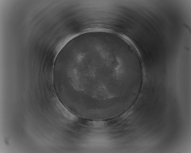 X0000101951244200807181443