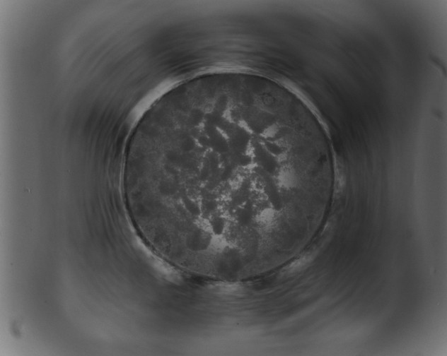 X0000101951245200807181443