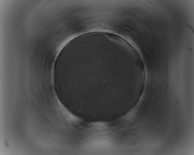 X0000101951246200807181443