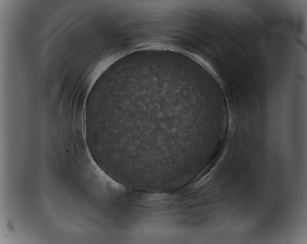 X0000101951247200807181443