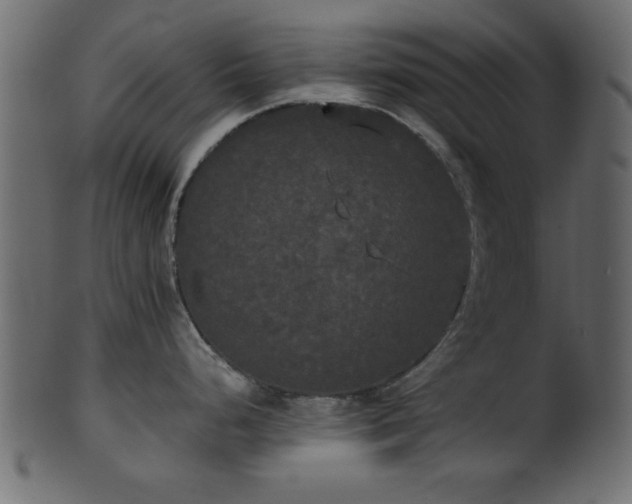 X0000101951248200807181443