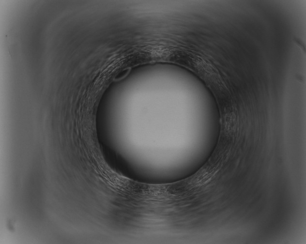 X0000101951249200807181442