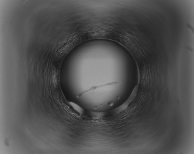 X0000101951250200807181442