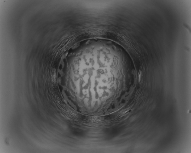 X0000101951251200807181442