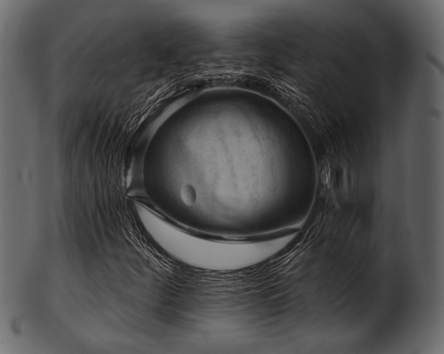 X0000101951252200807181442