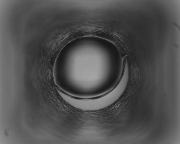 X0000101951253200807181442