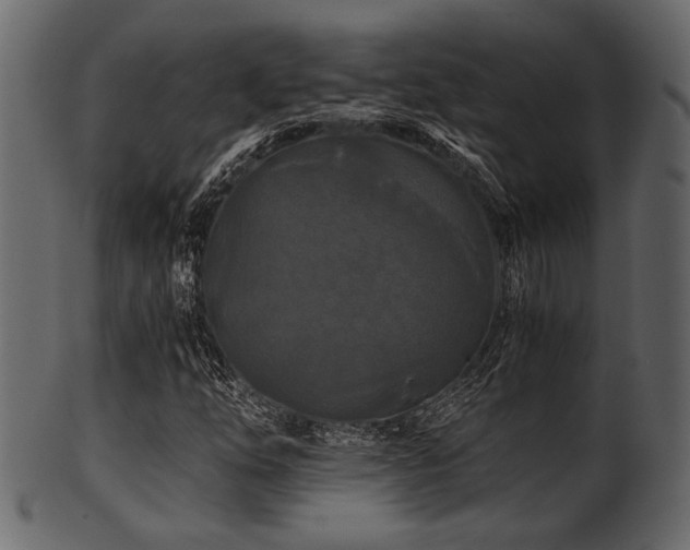 X0000101951254200807181442