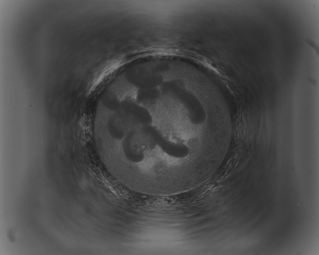 X0000101951255200807181442