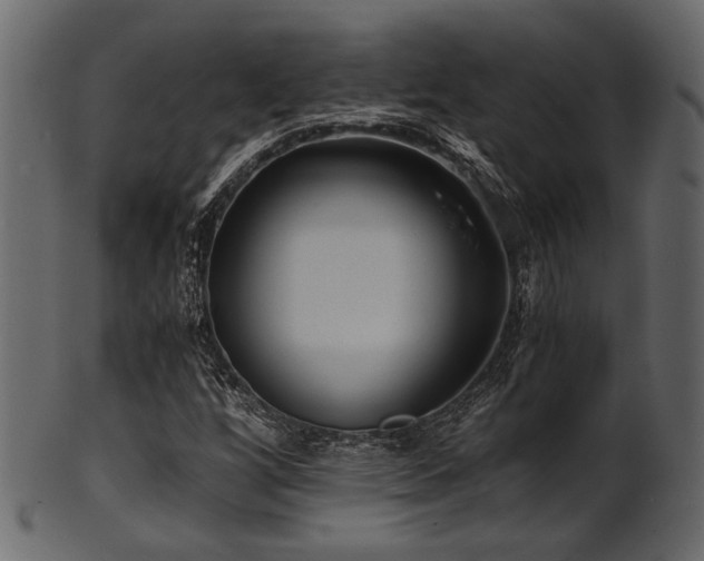 X0000101951256200807181442