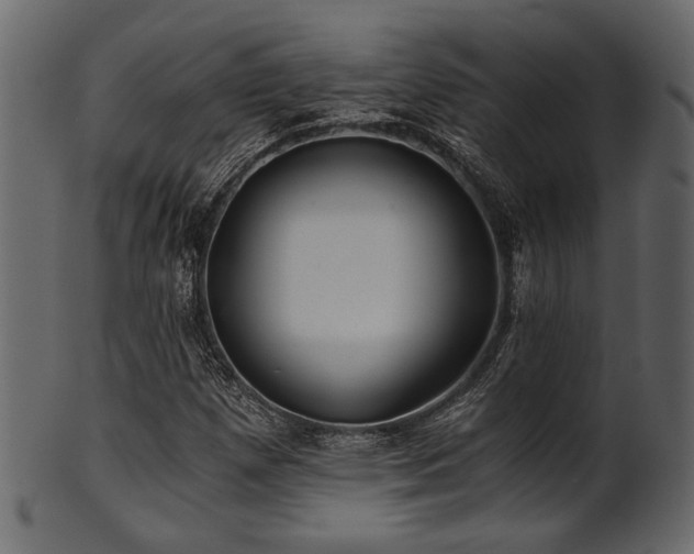 X0000101951257200807181442