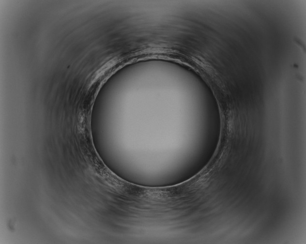 X0000101951258200807181442