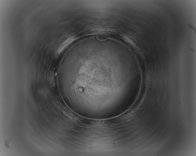 X0000101951259200807181442