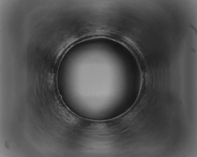 X0000101951260200807181442