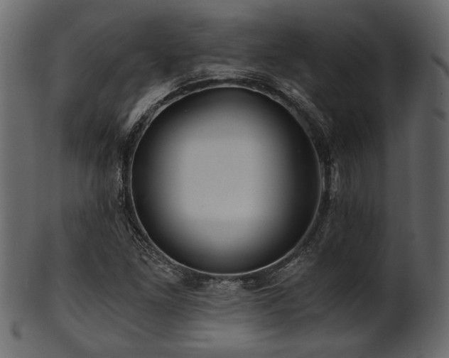 X0000101951261200807181442