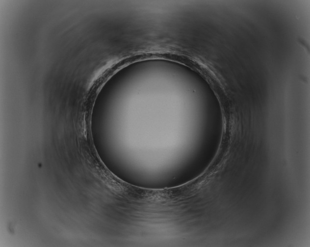 X0000101951262200807181442