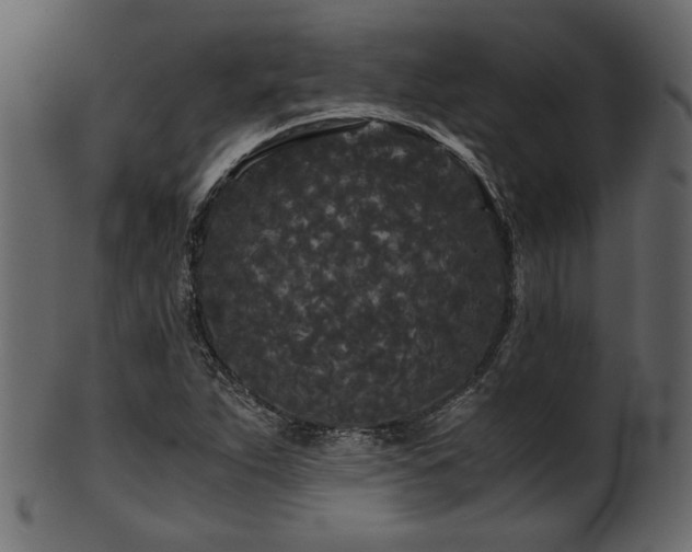 X0000101951263200807181442