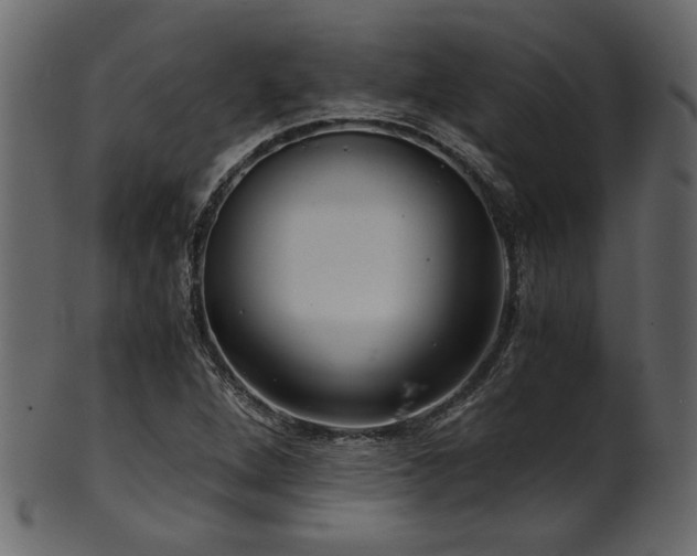 X0000101951264200807181442