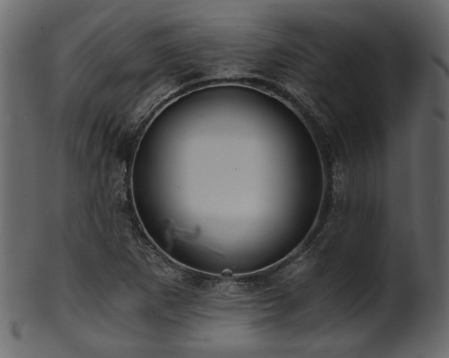 X0000101951265200807181442