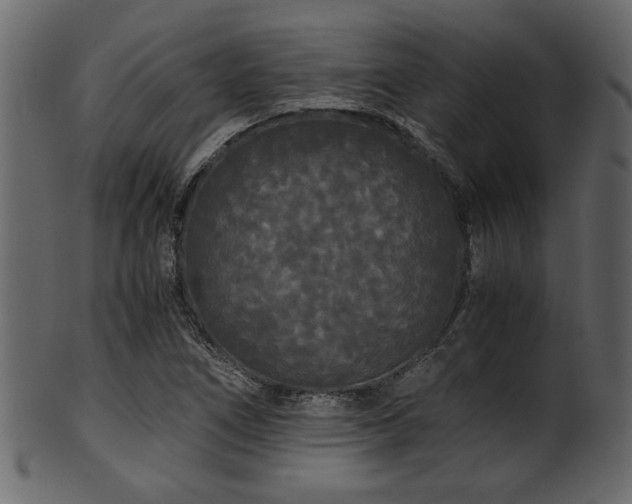 X0000101951266200807181442