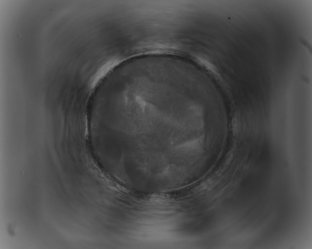 X0000101951267200807181442