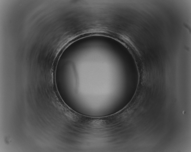 X0000101951268200807181442