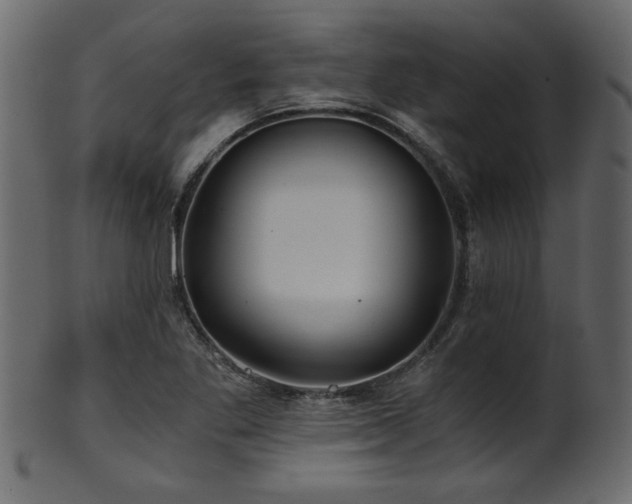 X0000101951269200807181442