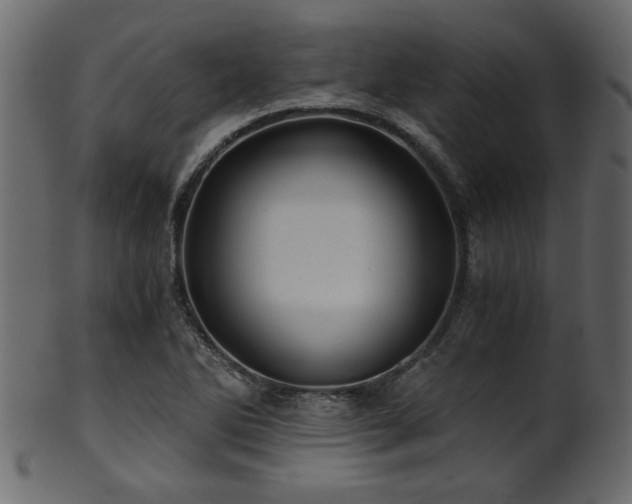 X0000101951270200807181442