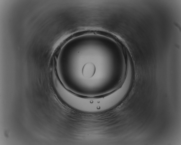 X0000101951271200807181442