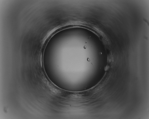 X0000101951272200807181442