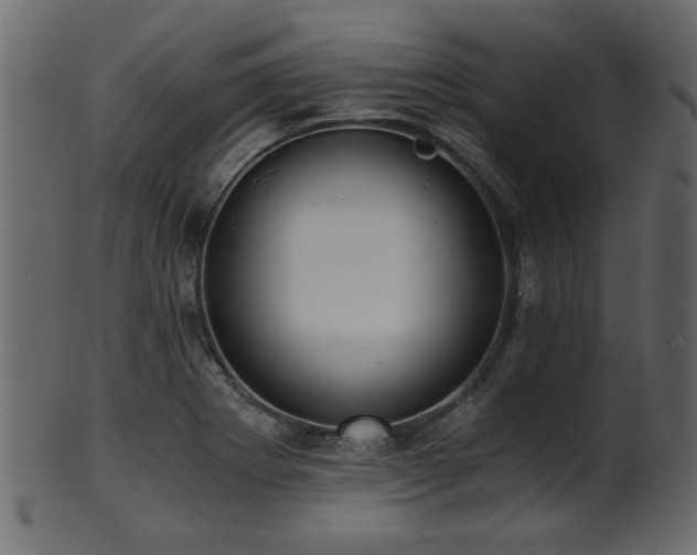 X0000101951273200807181442