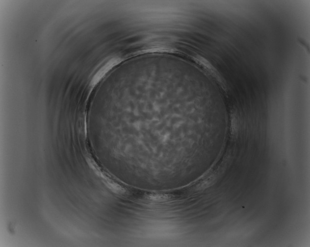 X0000101951274200807181442