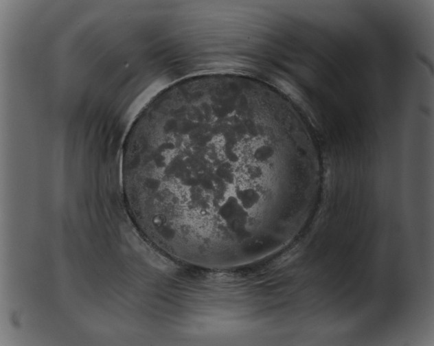 X0000101951275200807181442