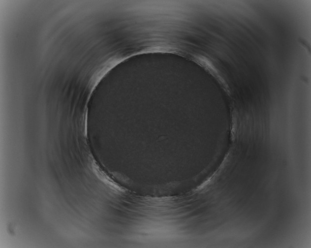 X0000101951276200807181442