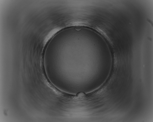 X0000101951277200807181442