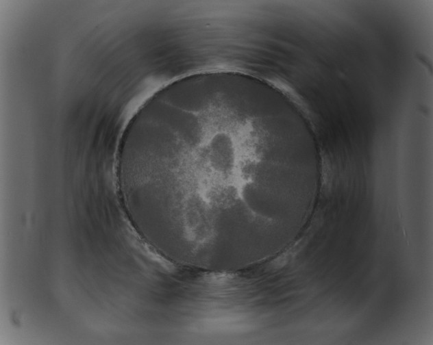 X0000101951278200807181442