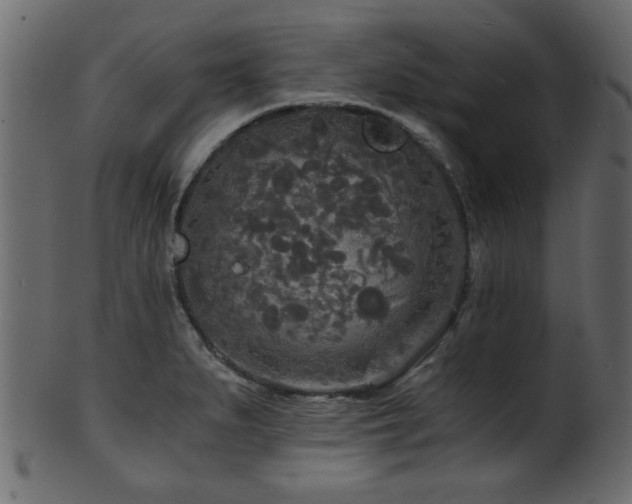 X0000101951279200807181442