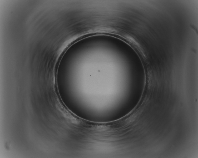 X0000101951280200807181442