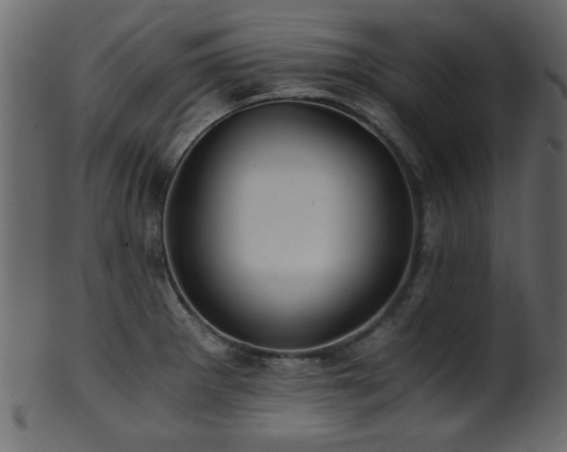 X0000101951281200807181442