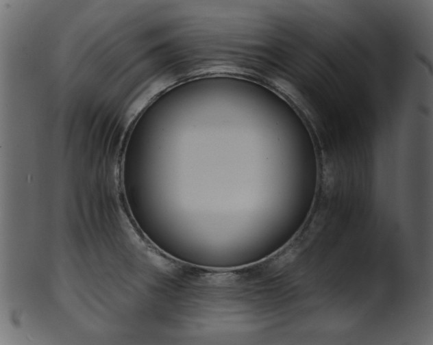 X0000101951282200807181442