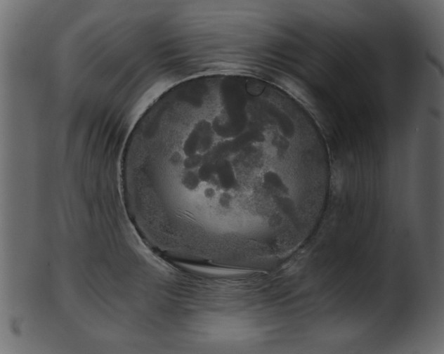 X0000101951283200807181442