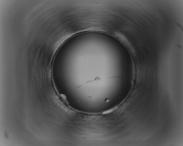 X0000101951284200807181442