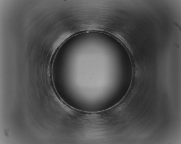 X0000101951285200807181442