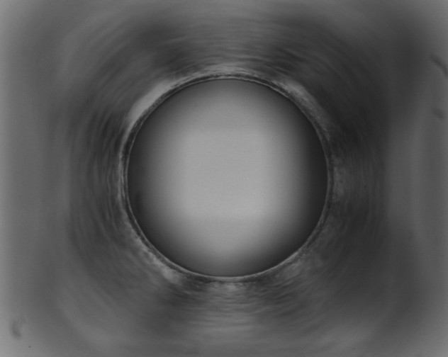 X0000101951286200807181442