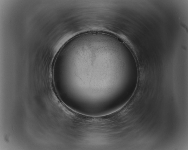 X0000101951287200807181442