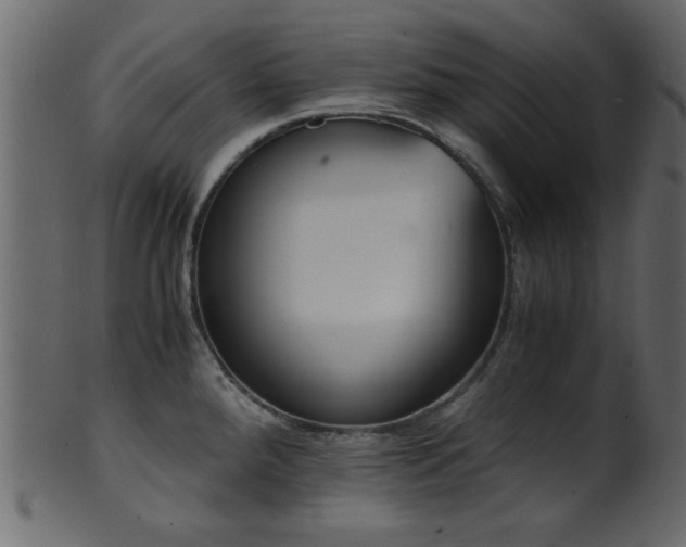 X0000101951288200807181442