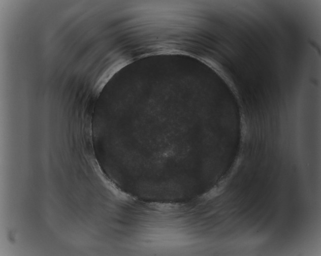 X0000101951289200807181442